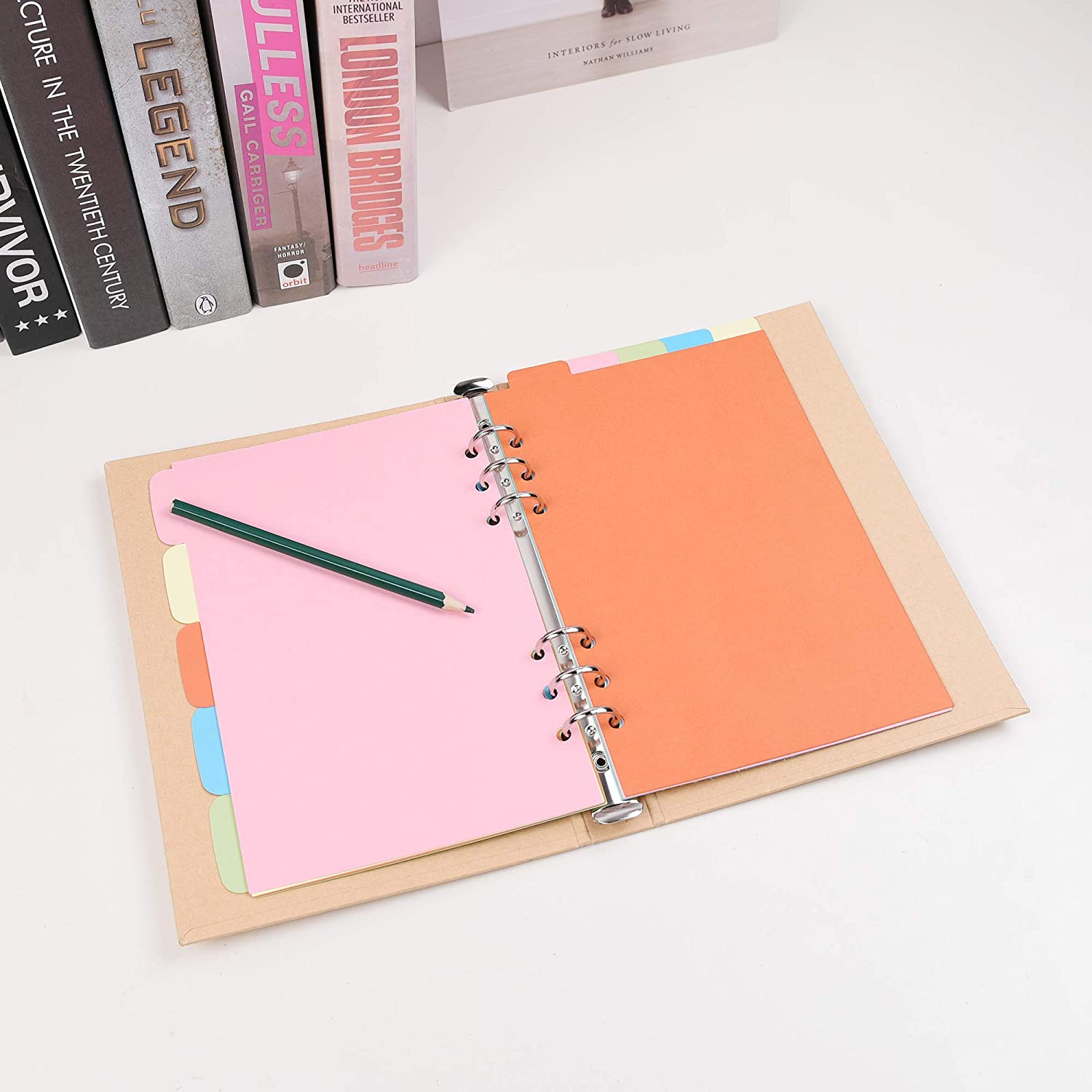 A5/A6/A7/B5/A4 Paper Divider I - Tab Divider A4 评论和价格