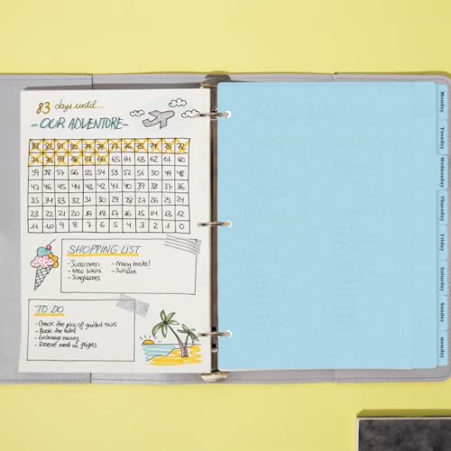 3 Ring Binder Dividers with 8- - Tab Divider A4 评论和价格